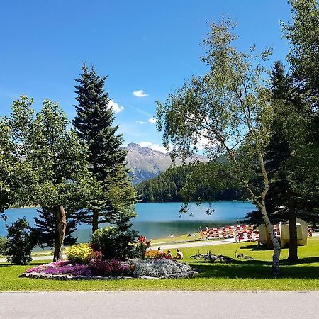 meschihouse - Chesa Engadina Apartment Samedan Bagian luar foto