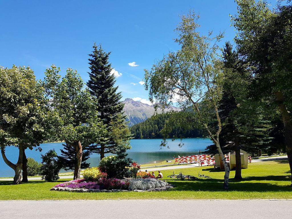 meschihouse - Chesa Engadina Apartment Samedan Bagian luar foto